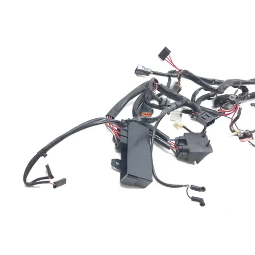 Main Engine Wiring Harness 99 Harley-Davidson Road King Classic EFI FLHRCI 2668 4
