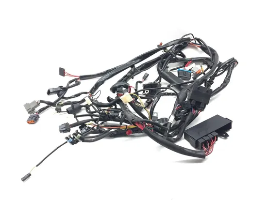 Main Engine Wiring Harness 99 Harley-Davidson Road King Classic EFI FLHRCI 2668