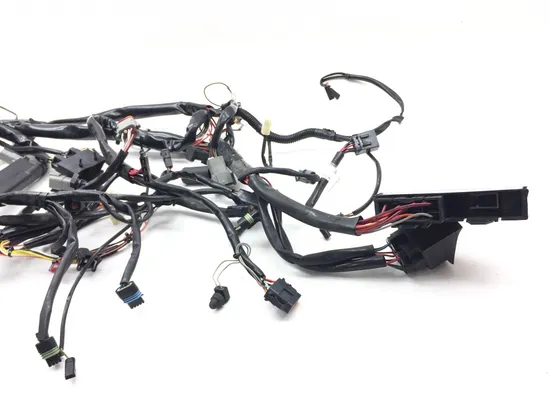 Main Engine Wiring Harness 99 Harley-Davidson Road King Classic EFI FLHRCI 2668