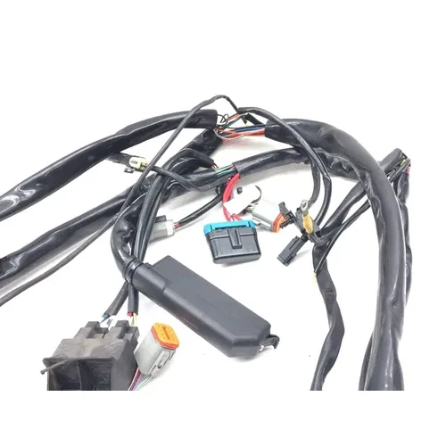 Main Engine Wiring Harness 99 Harley-Davidson Road King Classic EFI FLHRCI 2668 3