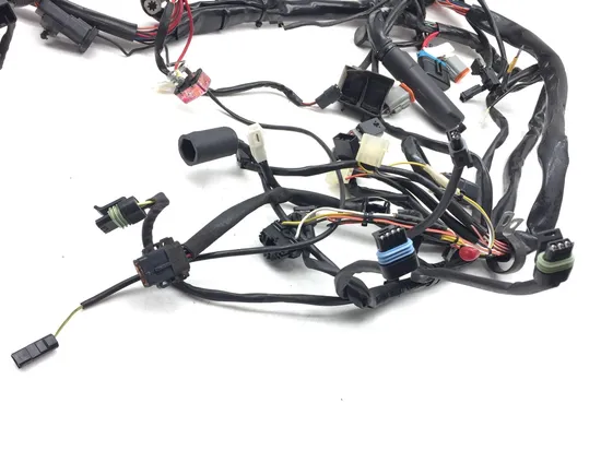 Main Engine Wiring Harness 99 Harley-Davidson Road King Classic EFI FLHRCI 2668