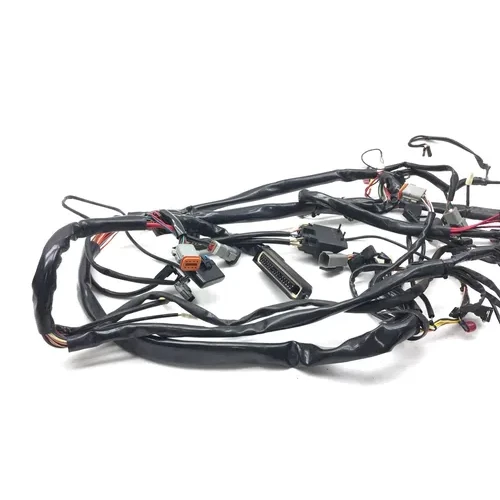 Main Engine Wiring Harness 99 Harley-Davidson Road King Classic EFI FLHRCI 2668 6
