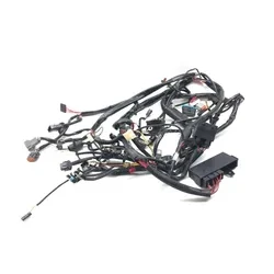 Main Engine Wiring Harness 99 Harley-Davidson Road King Classic EFI FLHRCI 2668