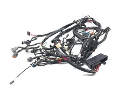Main Engine Wiring Harness 99 Harley-Davidson Road King Classic EFI FLHRCI 2668