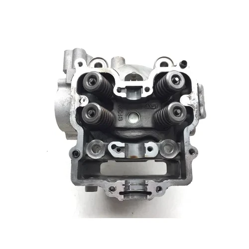 Engine Cylinder Head Complete W Valves 2012 Arctic Cat 700 TBX GT EFI 2693A x 17