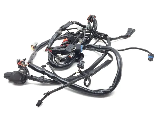 Main Engine Wiring Harness 2005 Harley-Davidson Dyna Super Glide FXD 2654