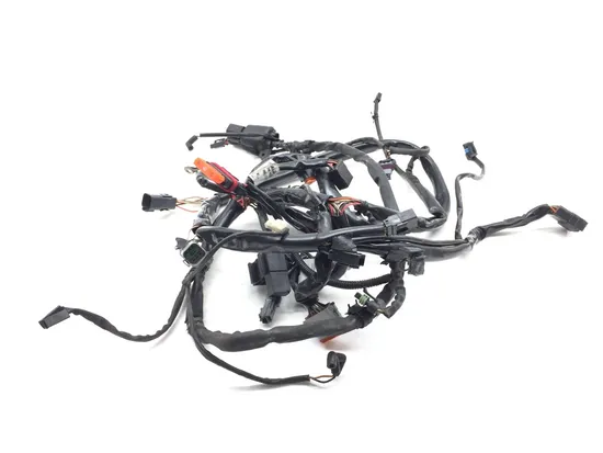 Main Engine Wiring Harness 2005 Harley-Davidson Dyna Super Glide FXD 2654