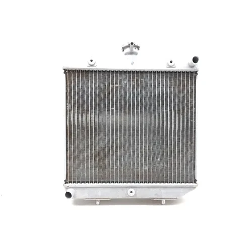 2017 Honda Pioneer 500 SXS500M Engine Radiator Cooling 2697A 15