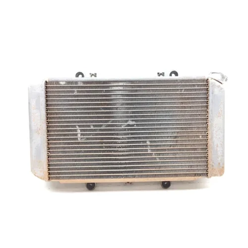 Engine Radiator Cooling 2002 Yamaha Grizzly 660 YFM660F 4x4 2706A 3