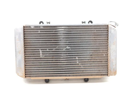 Engine Radiator Cooling 2002 Yamaha Grizzly 660 YFM660F 4x4 2706A