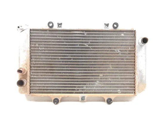 Engine Radiator Cooling 2002 Yamaha Grizzly 660 YFM660F 4x4 2706A