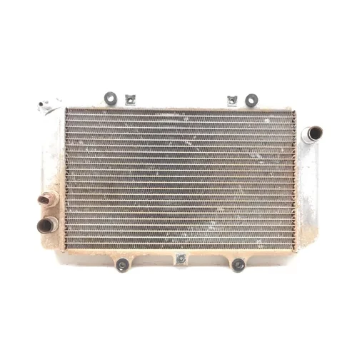 Engine Radiator Cooling 2002 Yamaha Grizzly 660 YFM660F 4x4 2706A 7