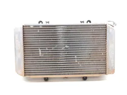 Engine Radiator Cooling 2002 Yamaha Grizzly 660 YFM660F 4x4 2706A