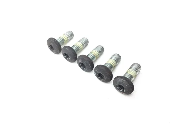 Rear Brake Rotor Disc Bolts 1999 Harley-Davidson Electra Glide FLHT 2705A