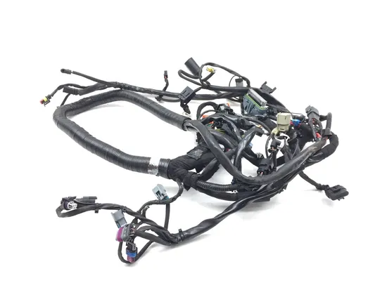 Main Engine Wiring Harness 2011 Harley Dyna Super Glide Custom FXDC 2708 x