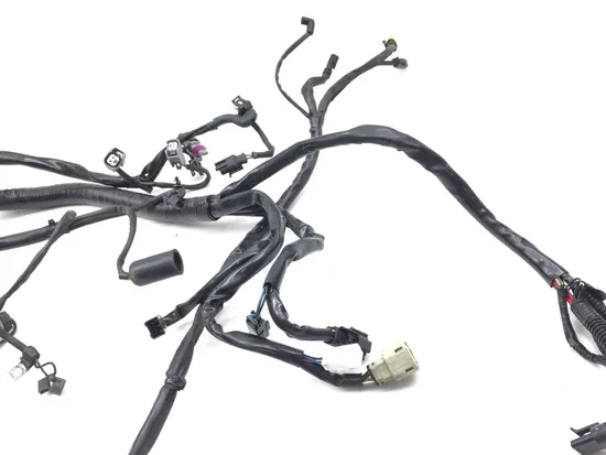 Main Engine Wiring Harness 2011 Harley Dyna Super Glide Custom FXDC 2708 x