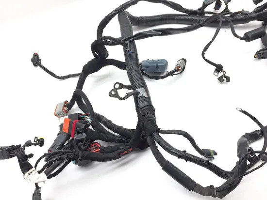 Main Engine Wiring Harness 2011 Harley Dyna Super Glide Custom FXDC 2708 x