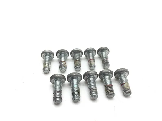 Front Brake Rotor Bolts 2008 Harley-Davidson Electra Glide Classic FLHTC 2712A