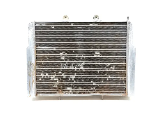 Engine Radiator Cooling 2013 Polaris RZR 570 LE Trail EFI EPS 2709 x