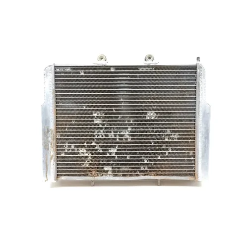 Engine Radiator Cooling 2013 Polaris RZR 570 LE Trail EFI EPS 2709 x 3