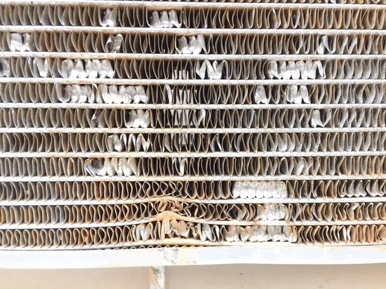 Engine Radiator Cooling 2013 Polaris RZR 570 LE Trail EFI EPS 2709 x