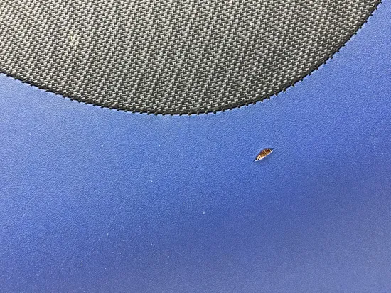 Seat Bottom Cushion B 2016 Yamaha YXZ1000R 2711A x