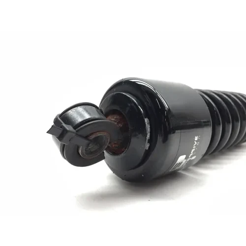 Rear Shocks Suspension 2007 Harley-Davidson Street Glide FLHX 2720 x 7