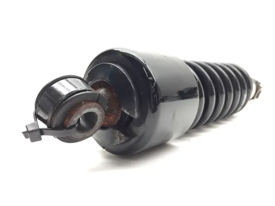 Rear Shocks Suspension 2007 Harley-Davidson Street Glide FLHX 2720 x