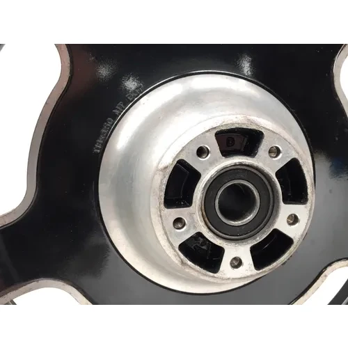 Front Wheel Rim Mag 2007 Harley-Davidson Street Glide FLHX 2720 x 5
