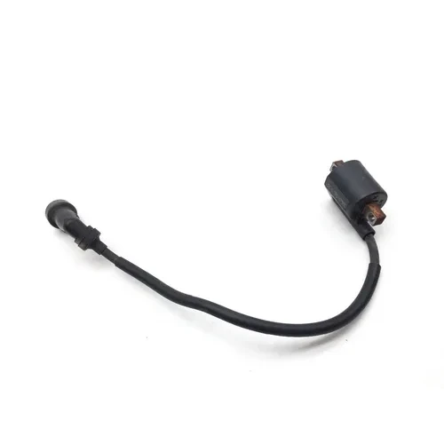 Ignition Coil 2006 Yamaha Kodiak 450 YFM450FA 4x4 2730A 12