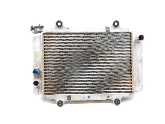 Engine Radiator Cooling 2006 Yamaha Kodiak 450 YFM450FA 4x4 2730A