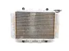Engine Radiator Cooling 2006 Yamaha Kodiak 450 YFM450FA 4x4 2730A
