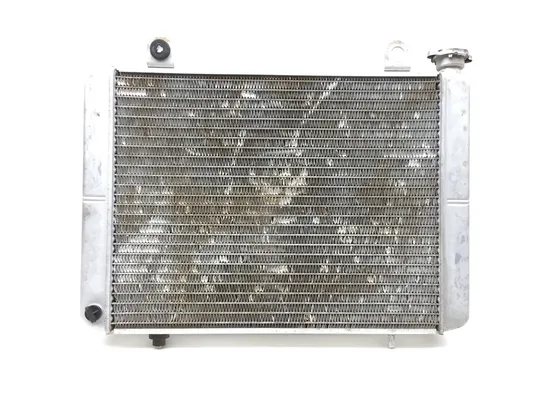 Engine Radiator Cooling 2006 Polaris Ranger XP 700 4x4 EFI 2726A
