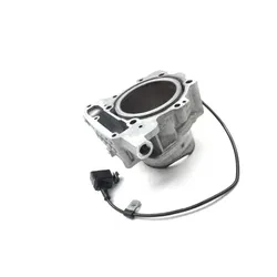 Engine Cylinder Jug Front 2013 Can-Am Spyder RT-S SE5 2699