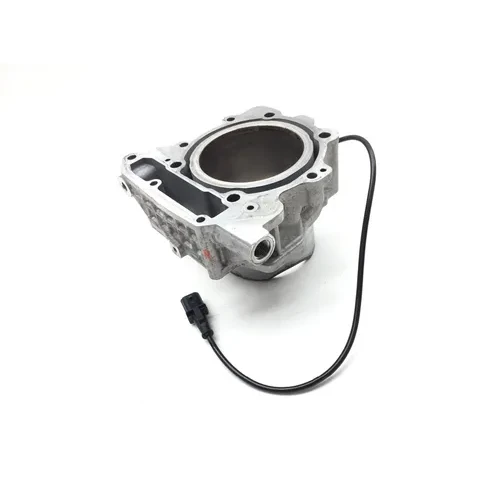 Engine Cylinder Jug Rear 2013 Can-Am Spyder RT-S SE5 2699