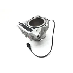 Engine Cylinder Jug Rear 2013 Can-Am Spyder RT-S SE5 2699