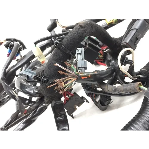 Main Engine Wiring Harness PARTS Harley-Davidson Dyna 2006 2732A PARTS 2