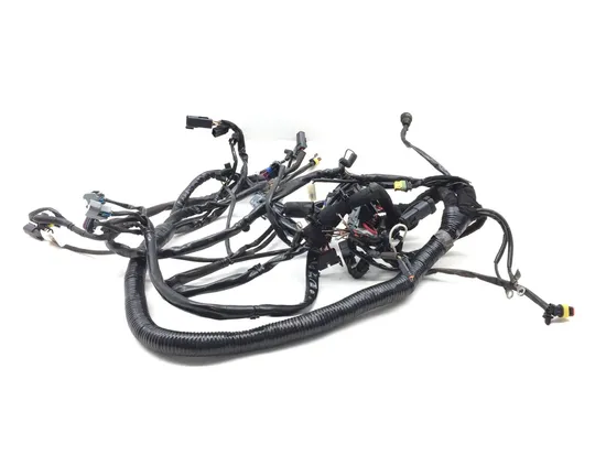 Main Engine Wiring Harness PARTS Harley-Davidson Dyna 2006 2732A PARTS