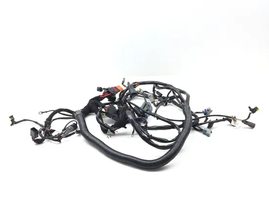 Main Engine Wiring Harness PARTS Harley-Davidson Dyna 2006 2732A PARTS