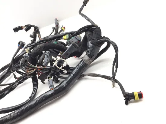 Main Engine Wiring Harness PARTS Harley-Davidson Dyna 2006 2732A PARTS