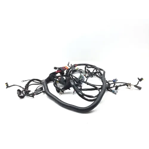 Main Engine Wiring Harness PARTS Harley-Davidson Dyna 2006 2732A PARTS 6