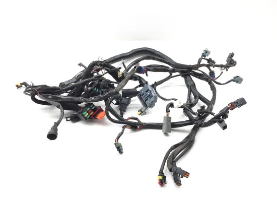 Main Engine Wiring Harness PARTS Harley-Davidson Dyna 2006 2732A PARTS