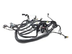 Main Engine Wiring Harness PARTS Harley-Davidson Dyna 2006 2732A PARTS