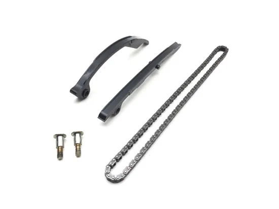Engine Timing Chain and Guides 2002 Suzuki GSXR600 2725