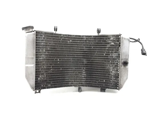 Engine Radiator Cooling 2002 Suzuki GSXR600 2725 x