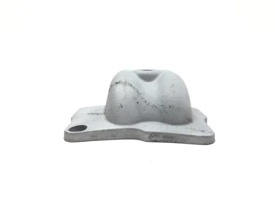 Oil Line Cover 1999 Harley-Davidson Electra Glide FLHT 2738A