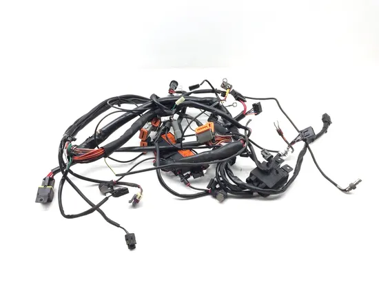 Main Engine Wiring Harness 1999 Harley Electra Glide FLHT 2738 x