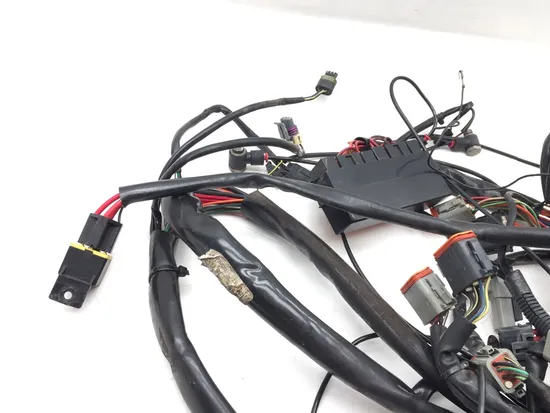 Main Engine Wiring Harness 1999 Harley Electra Glide FLHT 2738 x