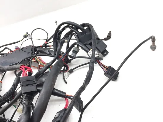Main Engine Wiring Harness 1999 Harley Electra Glide FLHT 2738 x