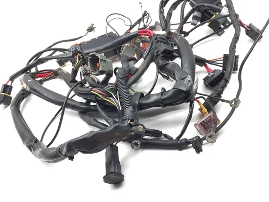 Main Engine Wiring Harness 1999 Harley Electra Glide FLHT 2738 x